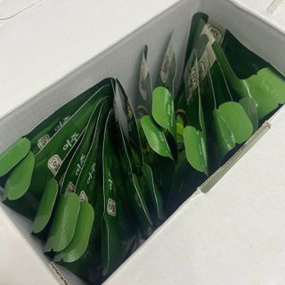가희님이 올린 리뷰 사진 3