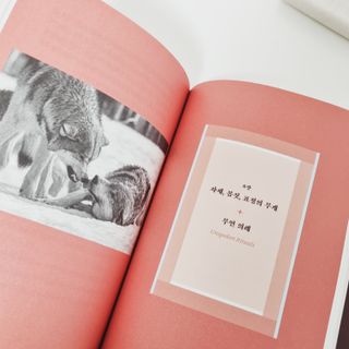 디자이너조은희님이 올린 리뷰 사진 4