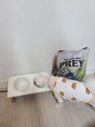 hosu.1230님이 올린 리뷰 사진 1