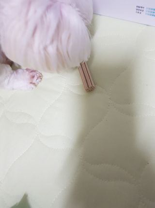 페페로니 클린플러스 덴탈치킨껌 10g x 14p — 5점을 준 리뷰어가 2021년 7월 올린 사용 사진