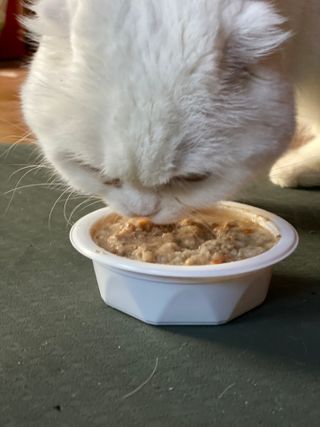 화이집사님이 올린 리뷰 사진 1