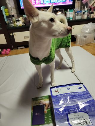 캐닌캐비어 알카라인 홀리스틱 그레이프리 앙뜨레 ALS_4종 오픈스카이, 와일드오션, 프리스피릿, 스페셜니즈 — 5점을 준 리뷰어가 2023년 4월 올린 사용 사진