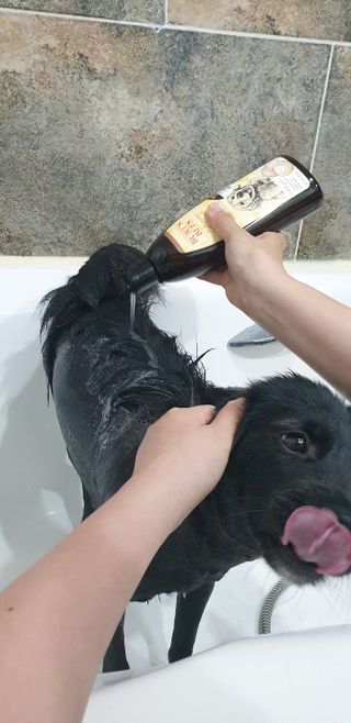 고구마님이 올린 리뷰 사진 4