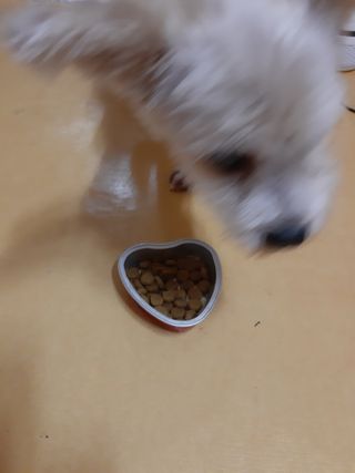 moomoon님이 올린 리뷰 사진 3
