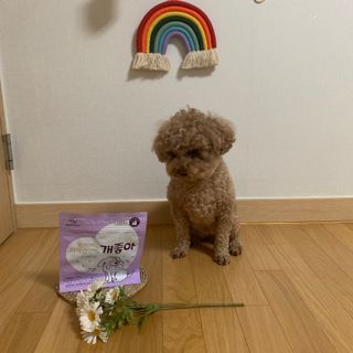 우주님이 올린 리뷰 사진 4