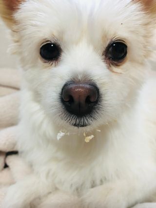 Lily님이 올린 리뷰 사진 1