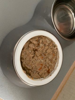 도레파스 굴삼계탕 - 강아지용 — 5점을 준 리뷰어가 2021년 3월 올린 사용 사진