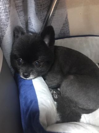 i_Moonsta님이 올린 리뷰 사진 2
