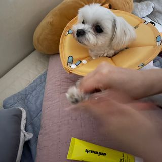 으녜님이 올린 리뷰 사진 4