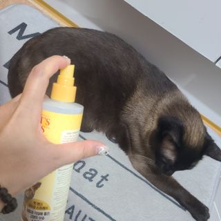 바비와구르미님이 올린 리뷰 사진 4