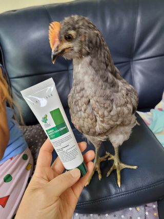 랑벨 랑바이오 블랙 시카 크림 50ml(블랙비 프로폴리스, 시카 4종, 판테놀 10 함유) — 5점을 준 리뷰어가 2022년 7월 올린 사용 사진