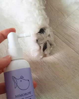 고라니님이 올린 리뷰 사진 4