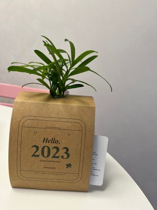 [메이크정글] 식물과 달력이 하나로, 2023년 식물캘린더 No.1 — 5점을 준 리뷰어가 2022년 10월 올린 사용 사진