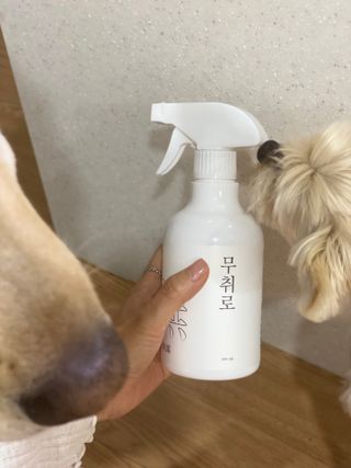 정봐기린님이 올린 리뷰 사진 1