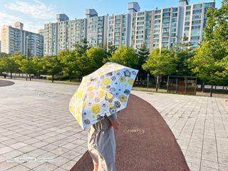 얄루님이 올린 리뷰 사진 1