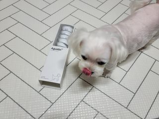 두부님이 올린 리뷰 사진 1