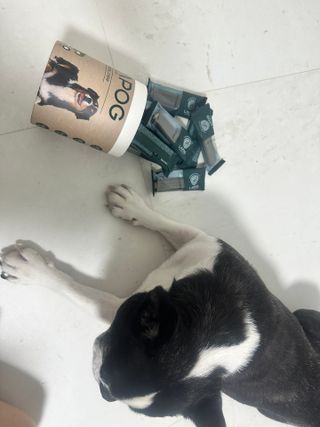 [푸디웜] 라포그 코어덴탈츄 그린 (10개입) — 5점을 준 리뷰어가 2022년 12월 올린 사용 사진