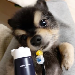 복도리님이 올린 리뷰 사진 3