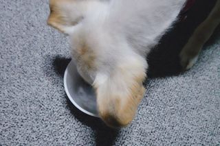 쥬롱이님이 올린 리뷰 사진 4