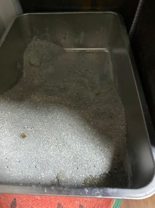 단발소녀님이 올린 리뷰 사진 2