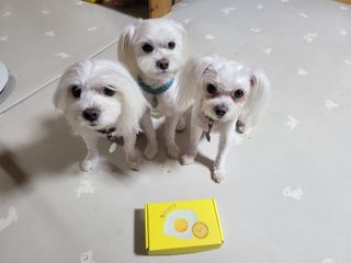 공팔리터님이 올린 리뷰 사진 1