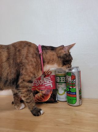 헐크갱크🌱님이 올린 리뷰 사진 3