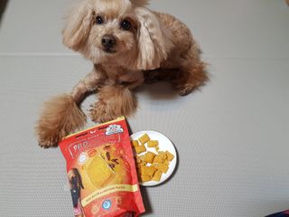 홍소영님이 올린 리뷰 사진 3