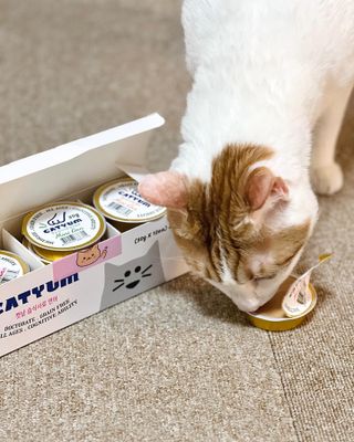 풀잎이님이 올린 리뷰 사진 3