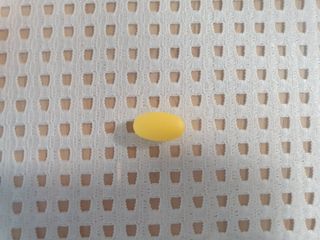 서울약사신협_내몸애발란스멀티비타민앤미네랄파워업_800mg x 90정 — 5점을 준 리뷰어가 2021년 8월 올린 사용 사진