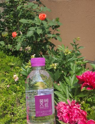 할인에나님이 올린 리뷰 사진 1