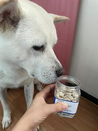 김봄쓰님이 올린 리뷰 사진 1