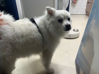 유타미양님이 올린 리뷰 사진 1