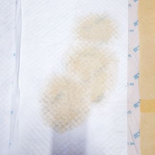 아베크 펫 와이드 프리미엄 중형 애견 강아지 배변 패드 54매 1팩 45g — 5점을 준 리뷰어가 2021년 7월 올린 사용 사진