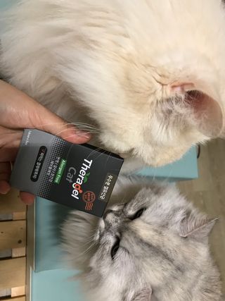 fively님이 올린 리뷰 사진 2