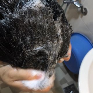 [포레스트스토리] B7 안티 헤어로스 샴푸1,000ml + 헤어팩 1,000ml — 5점을 준 리뷰어가 2021년 4월 올린 사용 사진