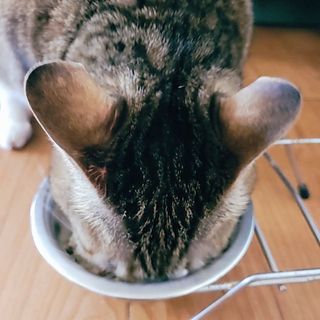 Naimy님이 올린 리뷰 사진 3
