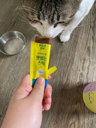 둠둠힝님이 올린 리뷰 사진 2