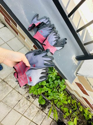 여닝님이 올린 리뷰 사진 1
