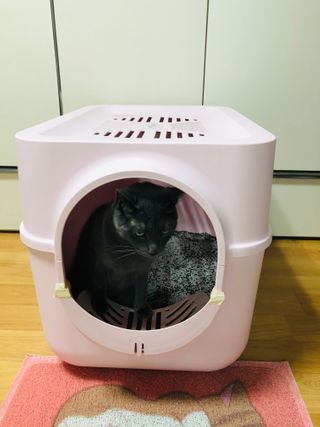 욤둥이님이 올린 리뷰 사진 1