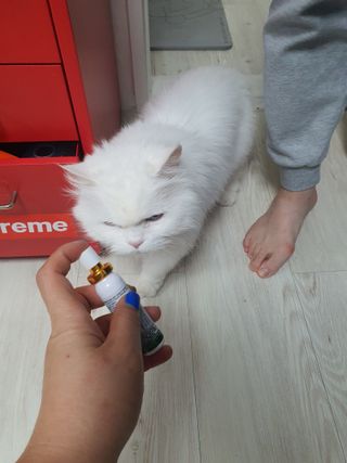 poochi님이 올린 리뷰 사진 3