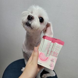 pussyess님이 올린 리뷰 사진 1