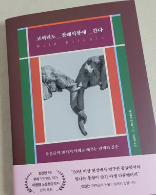 대박이님이 올린 리뷰 사진 1