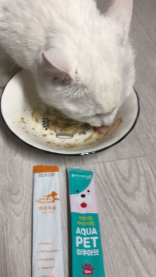 펫시랩 반려견용 액상 프리바이오틱스 아쿠아펫 — 5점을 준 리뷰어가 2021년 1월 올린 사용 사진