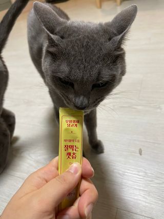 여온님이 올린 리뷰 사진 2