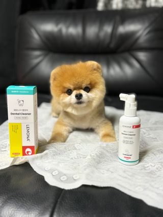 프리[경남제약 레모나x댕모어]  강아지 고양이 구취제거 충치 예방 덴탈클리너 120ml — 5점을 준 리뷰어가 2024년 7월 올린 사용 사진