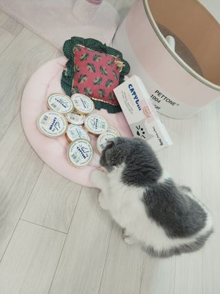 날씬이클디님이 올린 리뷰 사진 4