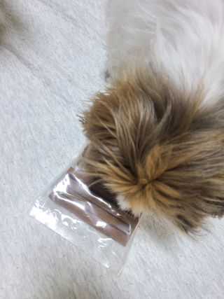 My Pet Care 천연단백질 치아건강에 개좋아 — 4점을 준 리뷰어가 2021년 1월 올린 사용 사진