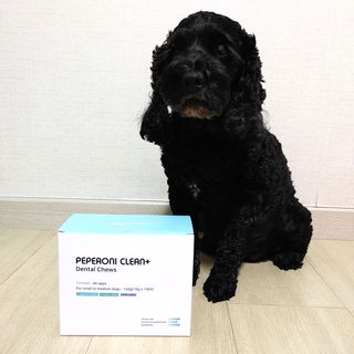 페페로니 클린플러스 덴탈치킨껌 10g x 14p — 5점을 준 리뷰어가 2021년 7월 올린 사용 사진