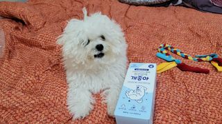 앵앵이님이 올린 리뷰 사진 1
