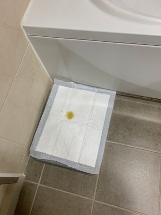별이빛나길님이 올린 리뷰 사진 3